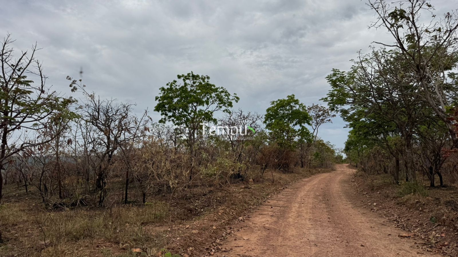 Fazenda, 200860 hectares - Foto 15