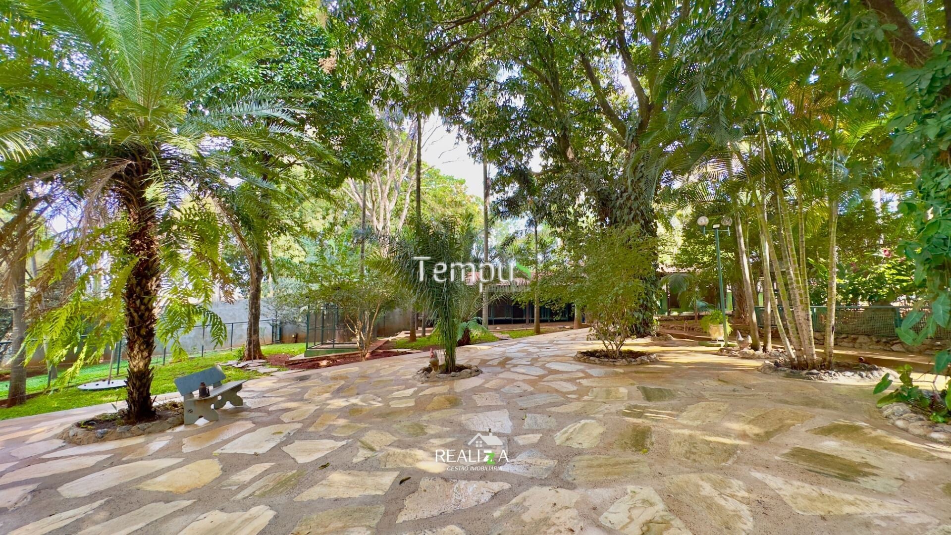 Fazenda à venda com 5 quartos, 7000m² - Foto 2