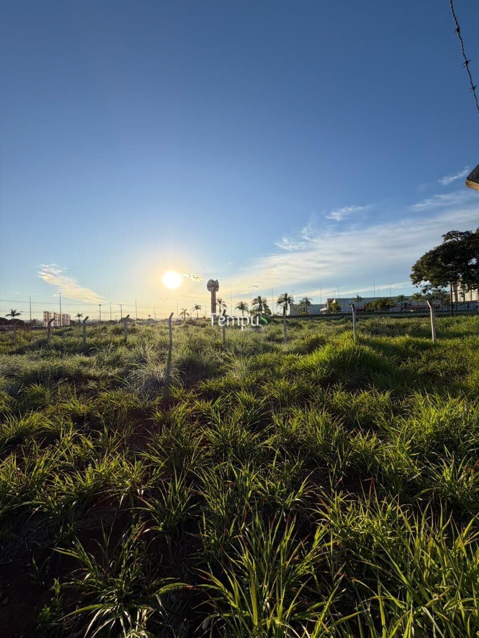 Loteamento e Condomínio, 8000 m² - Foto 2