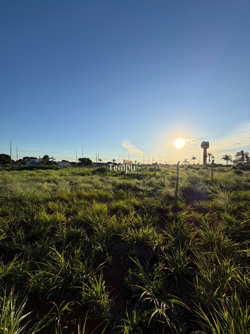 Loteamento e Condomínio, 8000 m² - Foto 5