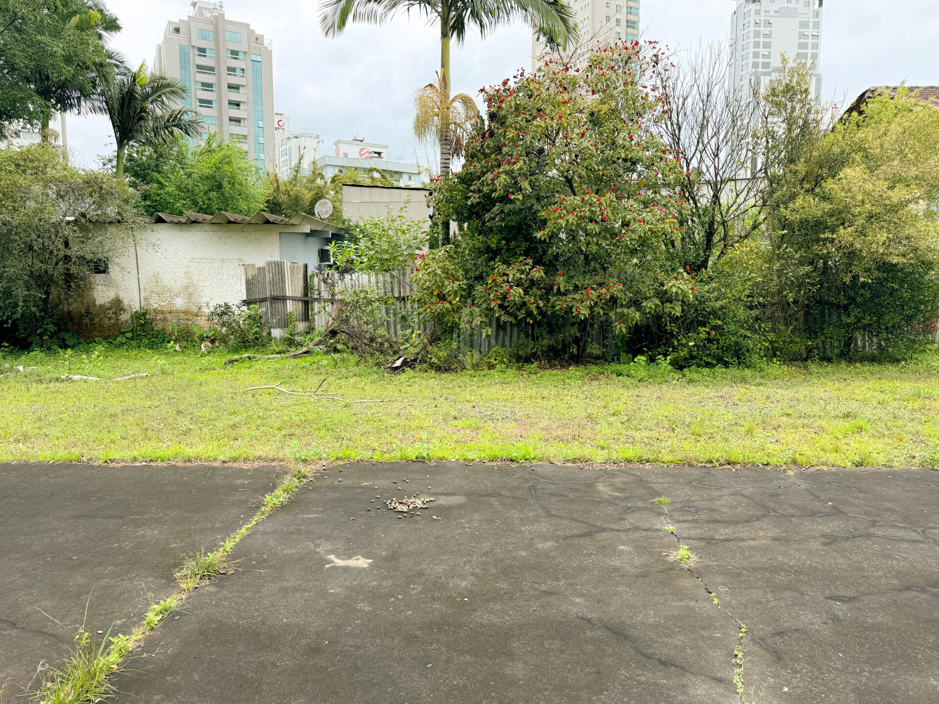 erreno à Venda ou Locação - Rua Marechal Deodoro 5mil m2 — foto 7
