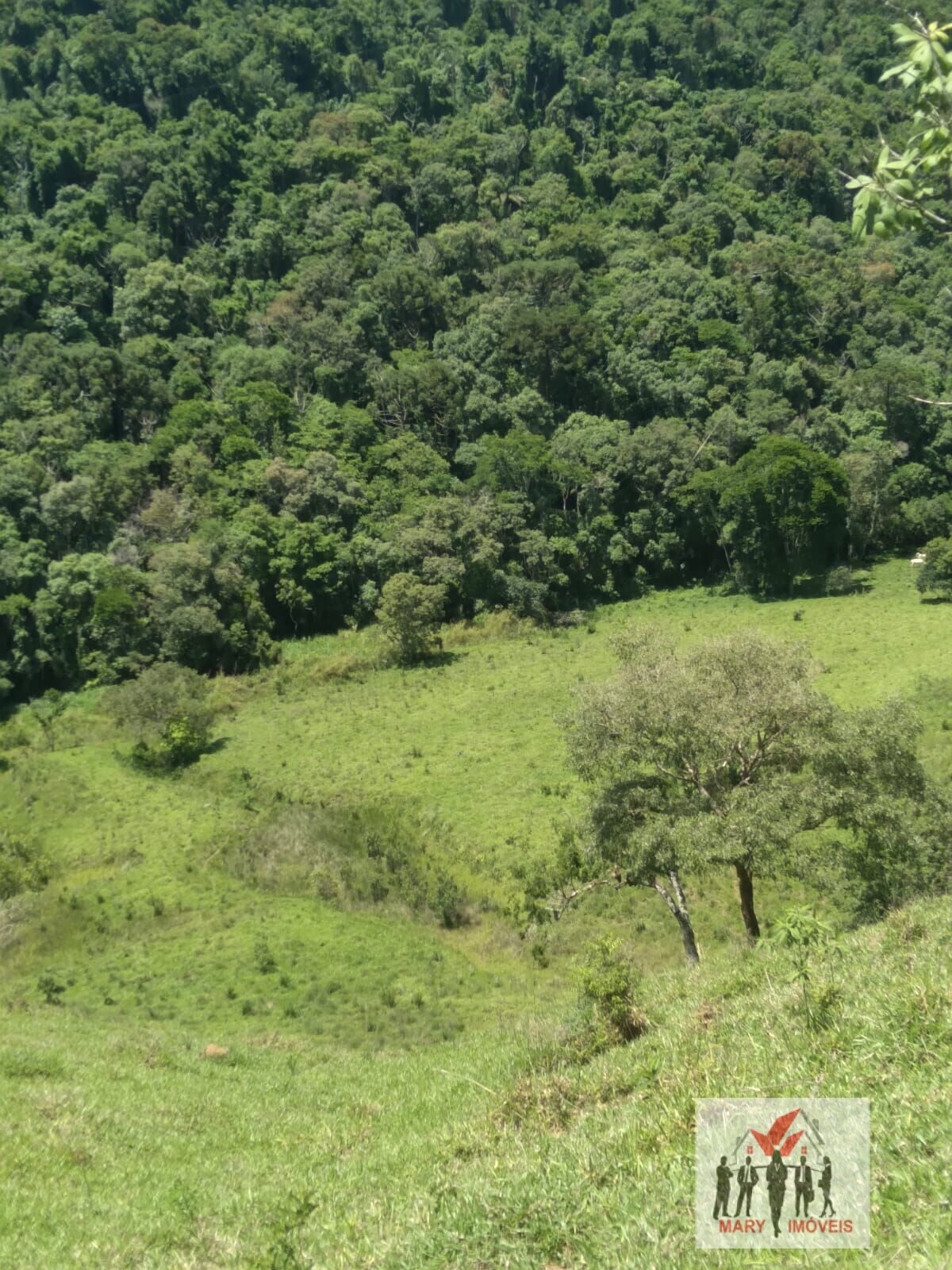 Sítio à venda no bairro Centro - Caldas/MG