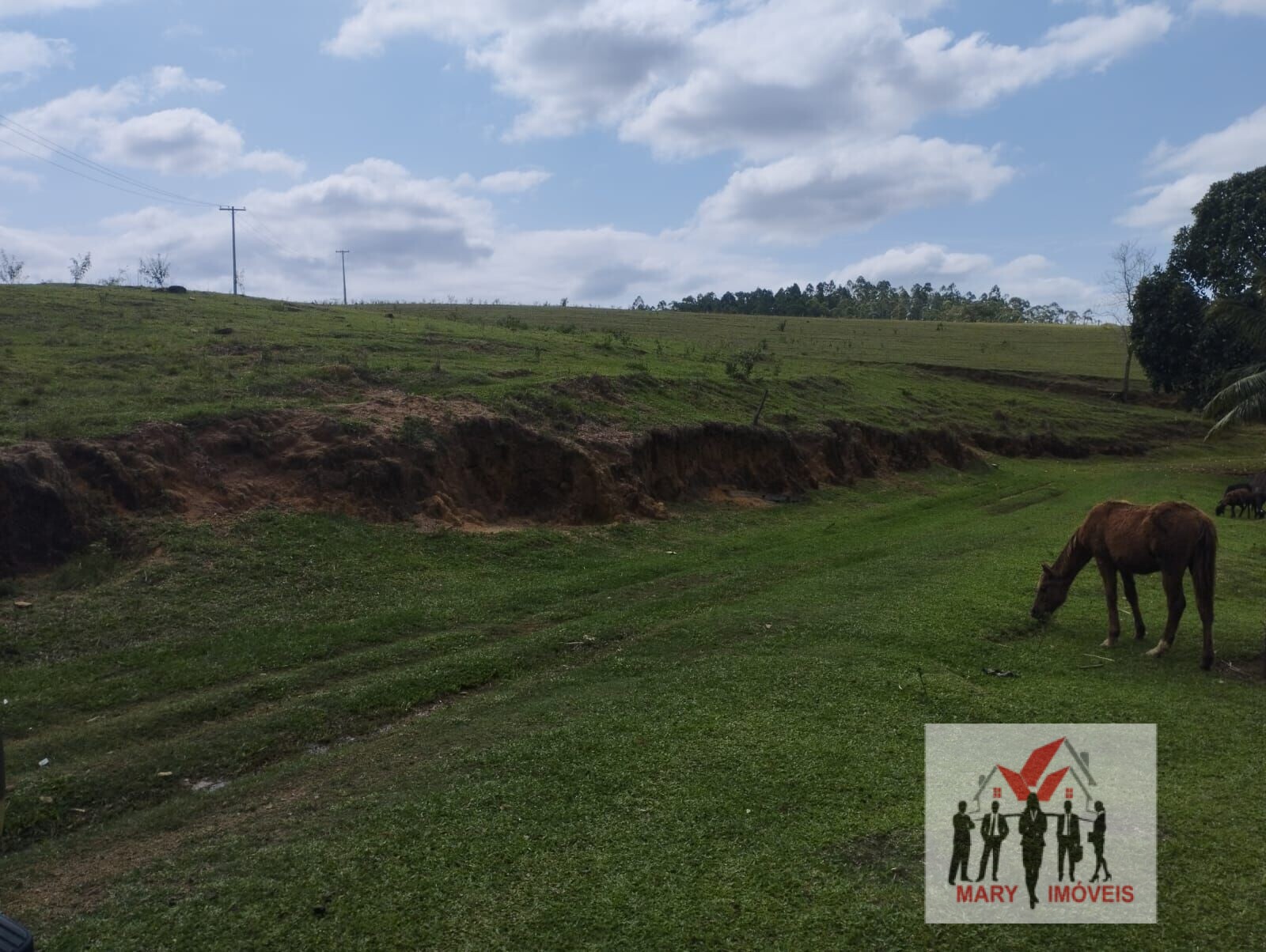 Fazenda à venda em Campos dos Goytacazes/RJ