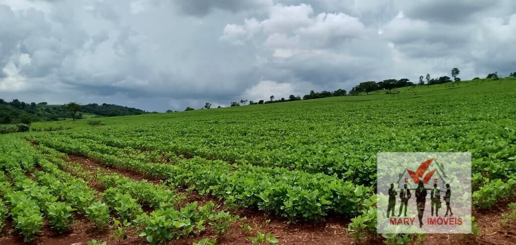 Fazenda à venda no bairro Centro - Itamogi/MG