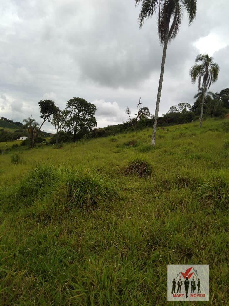 Sítio à venda no bairro Centro - Campestre/MG