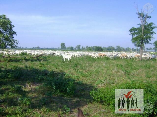 Fazenda à venda no bairro Zona Rural - Poconé/MT