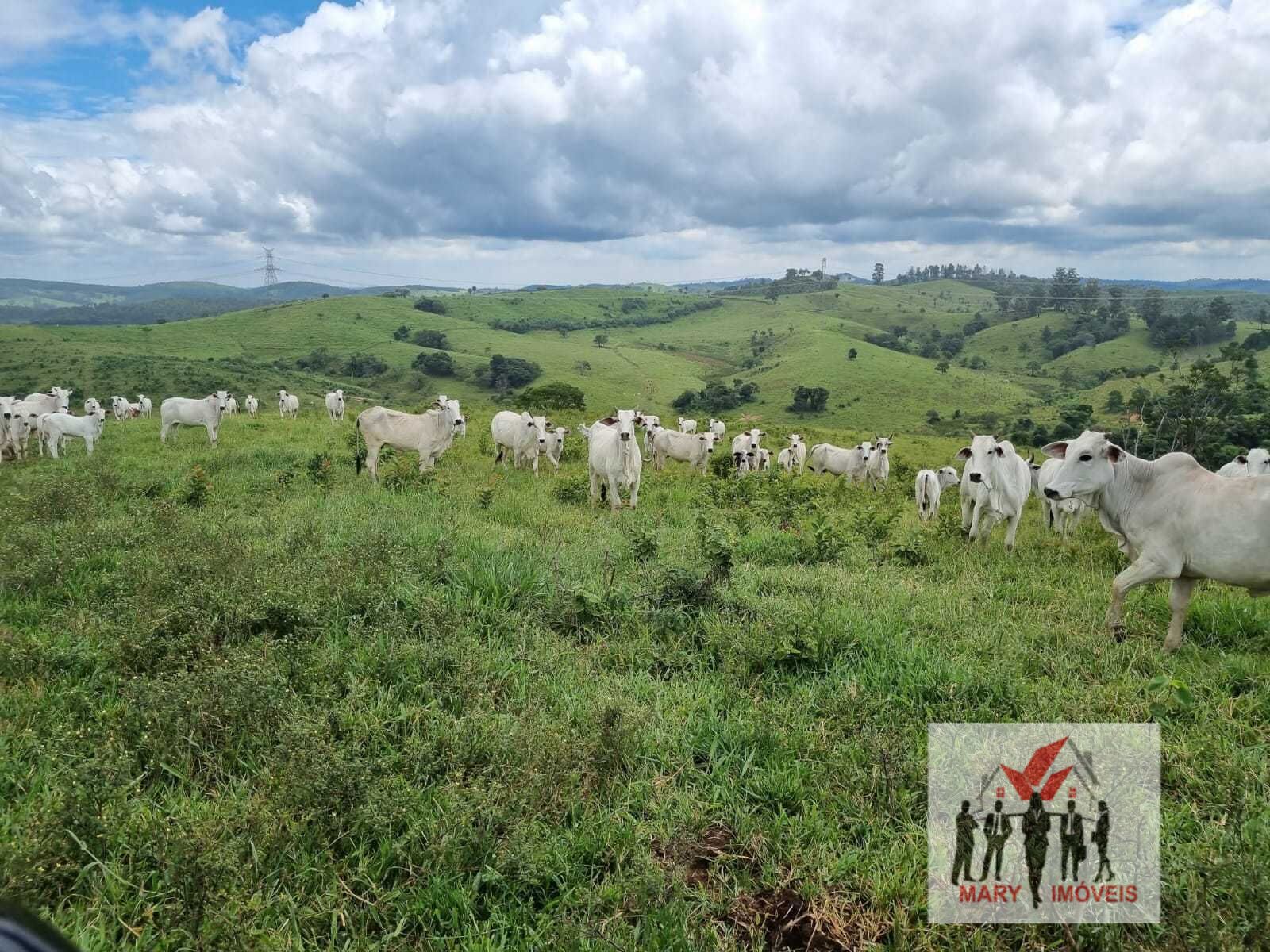 Fazenda à venda em Jacutinga/MG