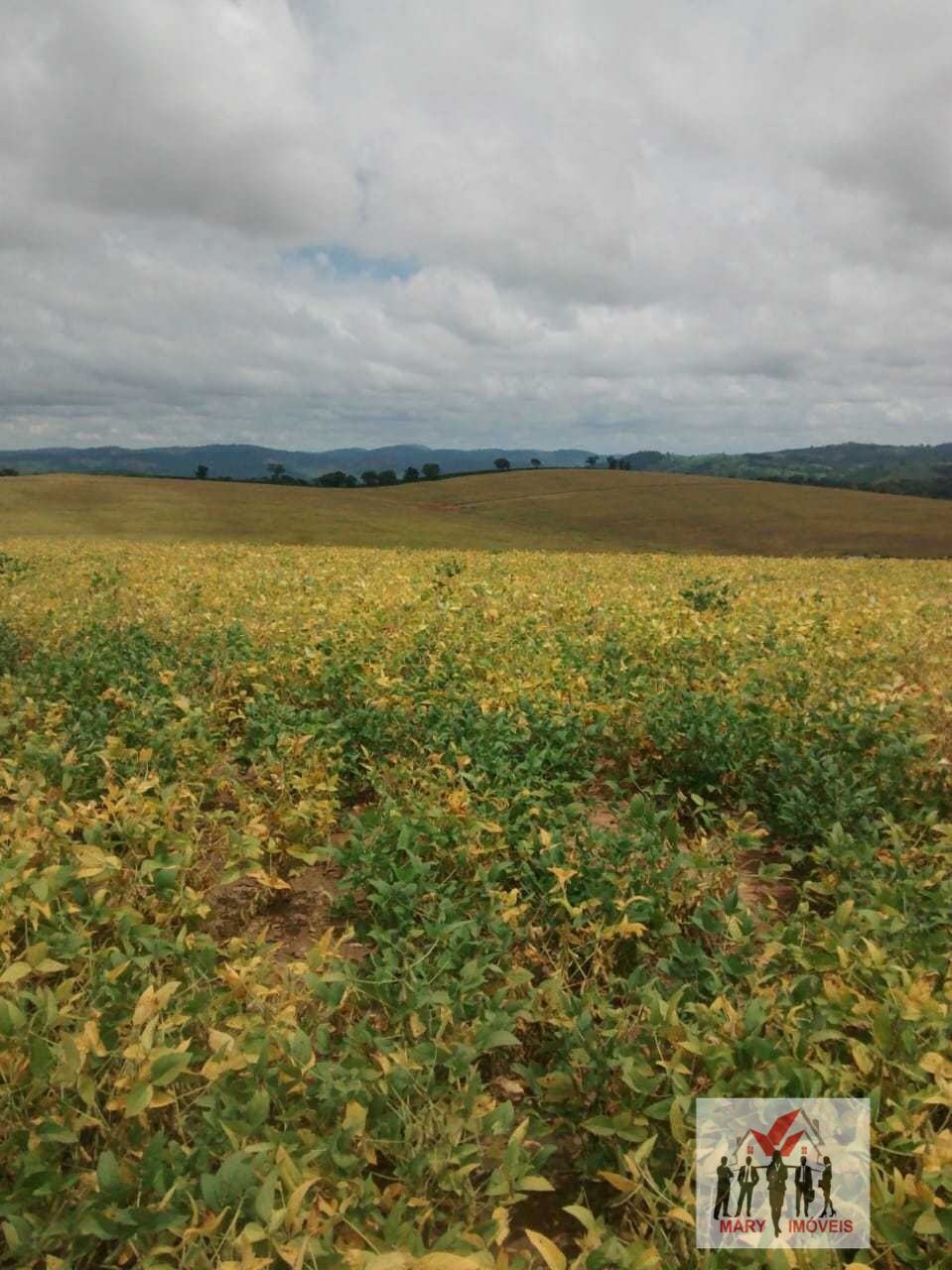 Fazenda à venda em Perdões/MG