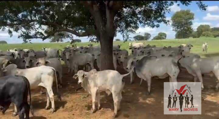 Fazenda à venda no bairro Centro - Capitão Enéas/MG
