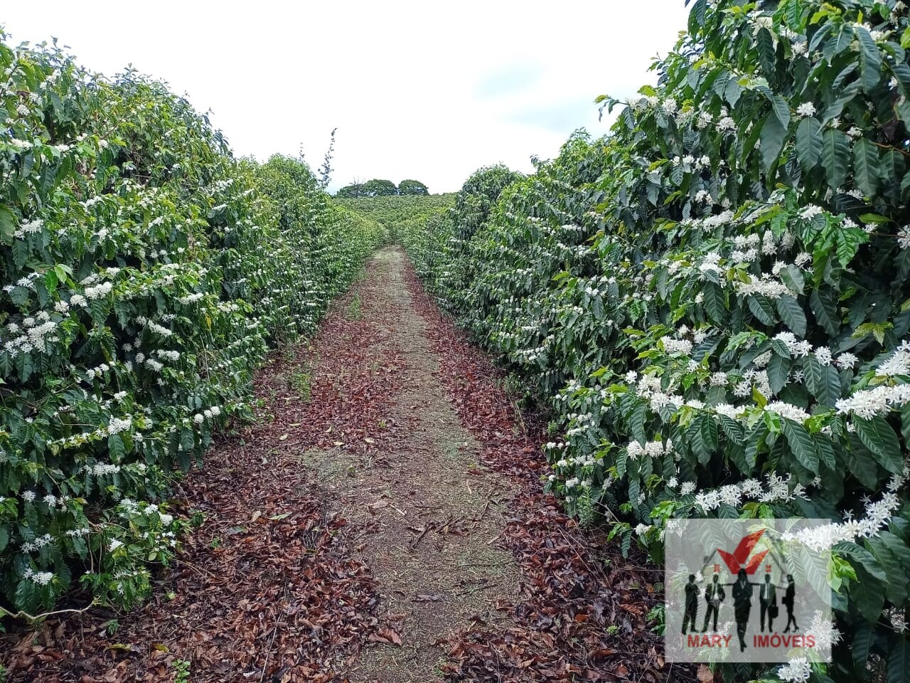 Fazenda à venda no bairro Centro - Lavras/MG
