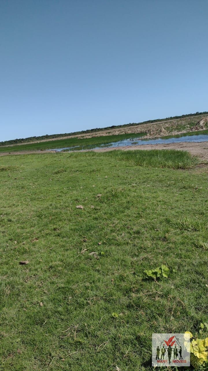 Fazenda à venda em Campos dos Goytacazes/RJ