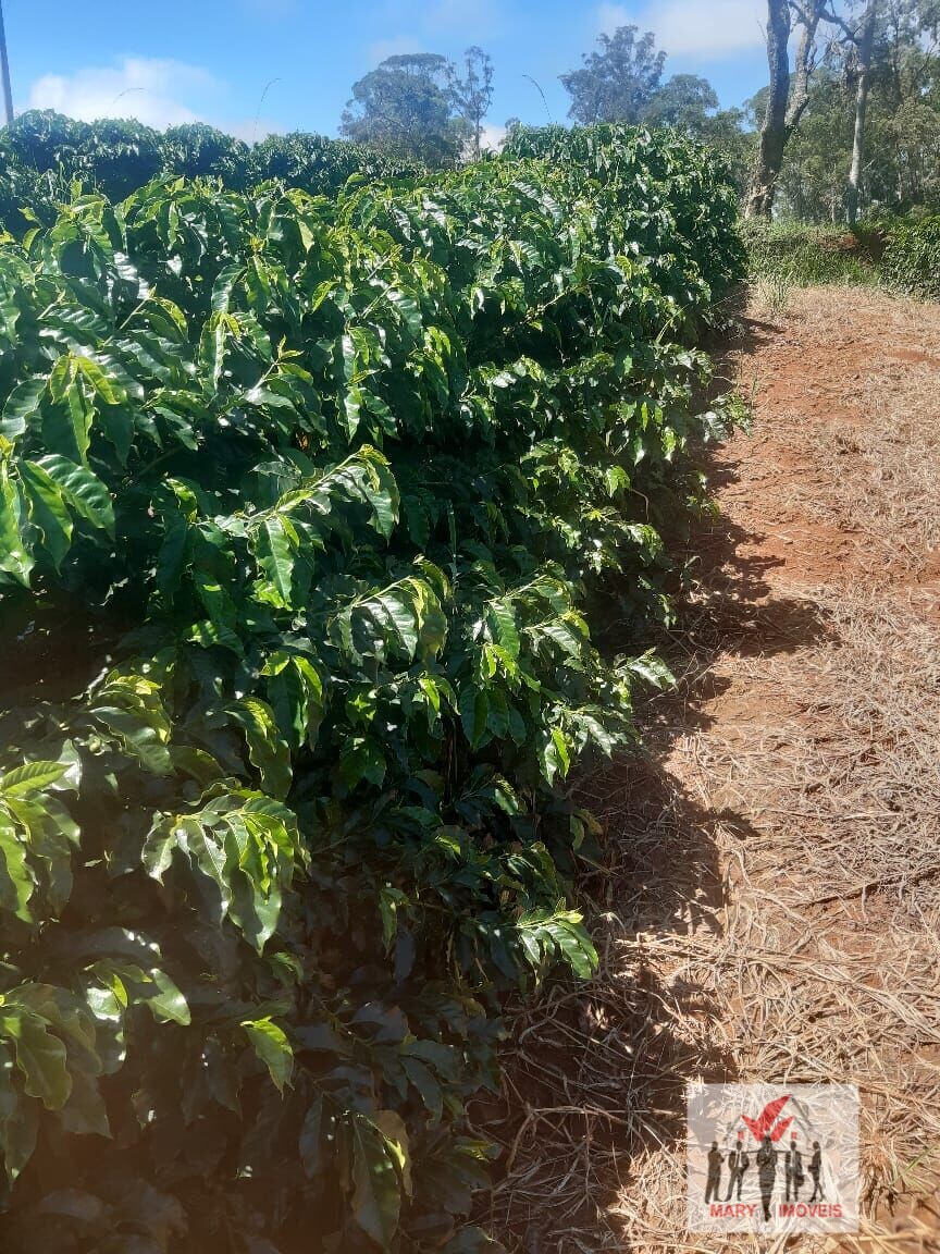 Fazenda à venda em Caconde/SP