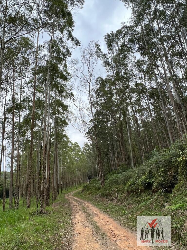 Fazenda à venda no bairro Centro - Sorocaba/SP