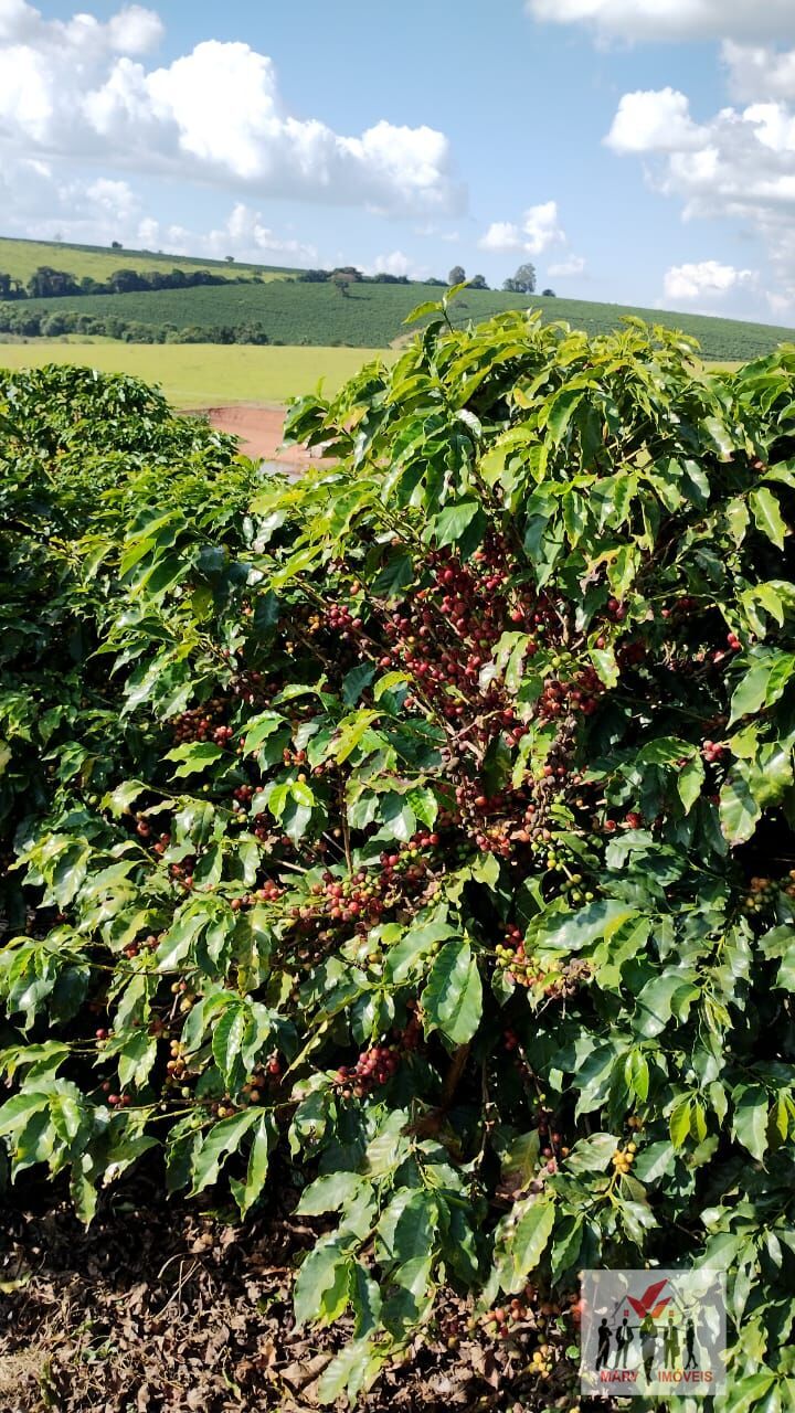 Fazenda à venda no bairro Área Rural de Alfenas - Alfenas/MG