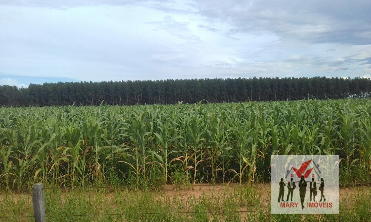 Fazenda à venda no bairro Centro Sul - Cuiabá/MT