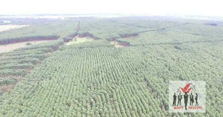 Fazenda à venda no bairro Centro - Coromandel/MG