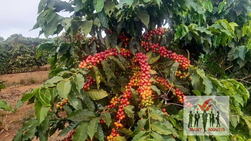 Fazenda à venda em Luminárias/MG