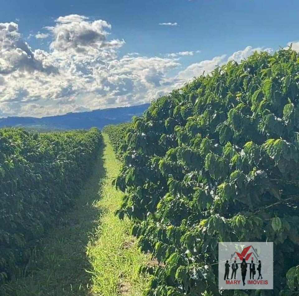 Fazenda à venda no bairro Centro - Claraval/MG