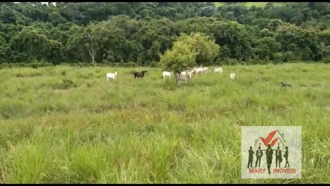 Fazenda à venda em Campos dos Goytacazes/RJ