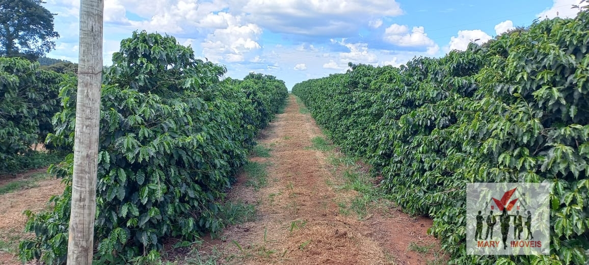 Fazenda à venda no bairro Centro - Botelhos/MG