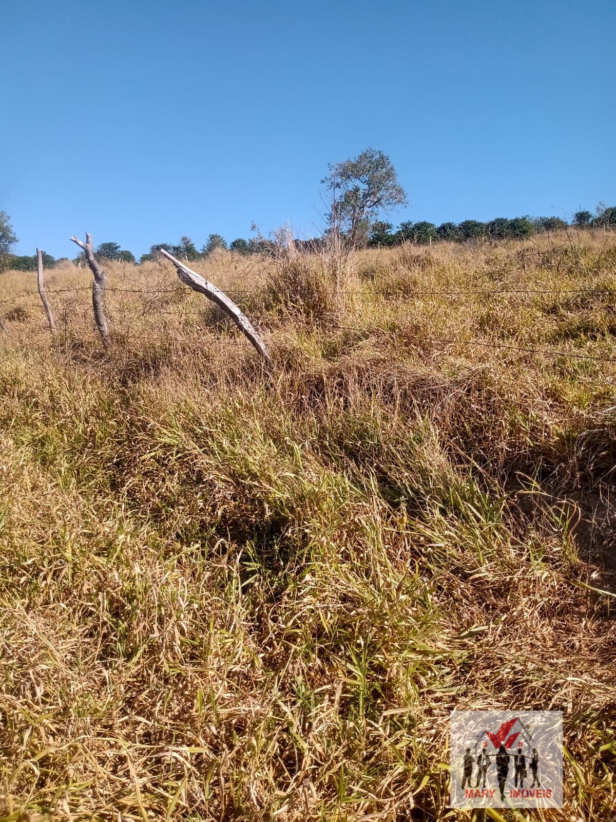 Sítio à venda em Poços de Caldas/MG