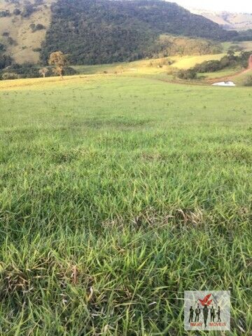 Fazenda à venda no bairro Vila Ramos - Pouso Alegre/MG
