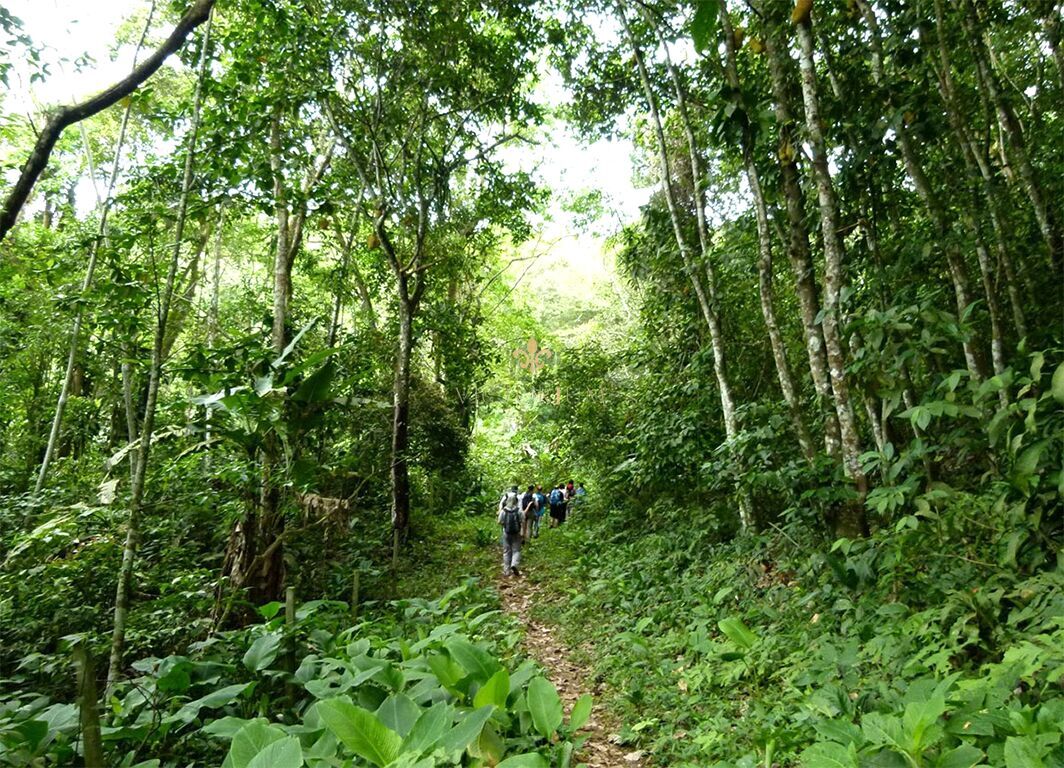 Fazenda à venda, 20000m² - Foto 5