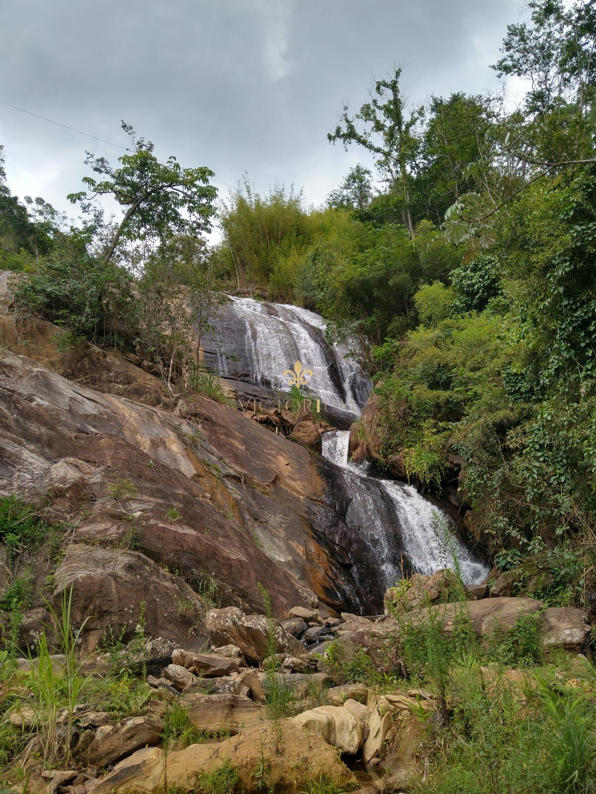 Fazenda à venda, 20000m² - Foto 3