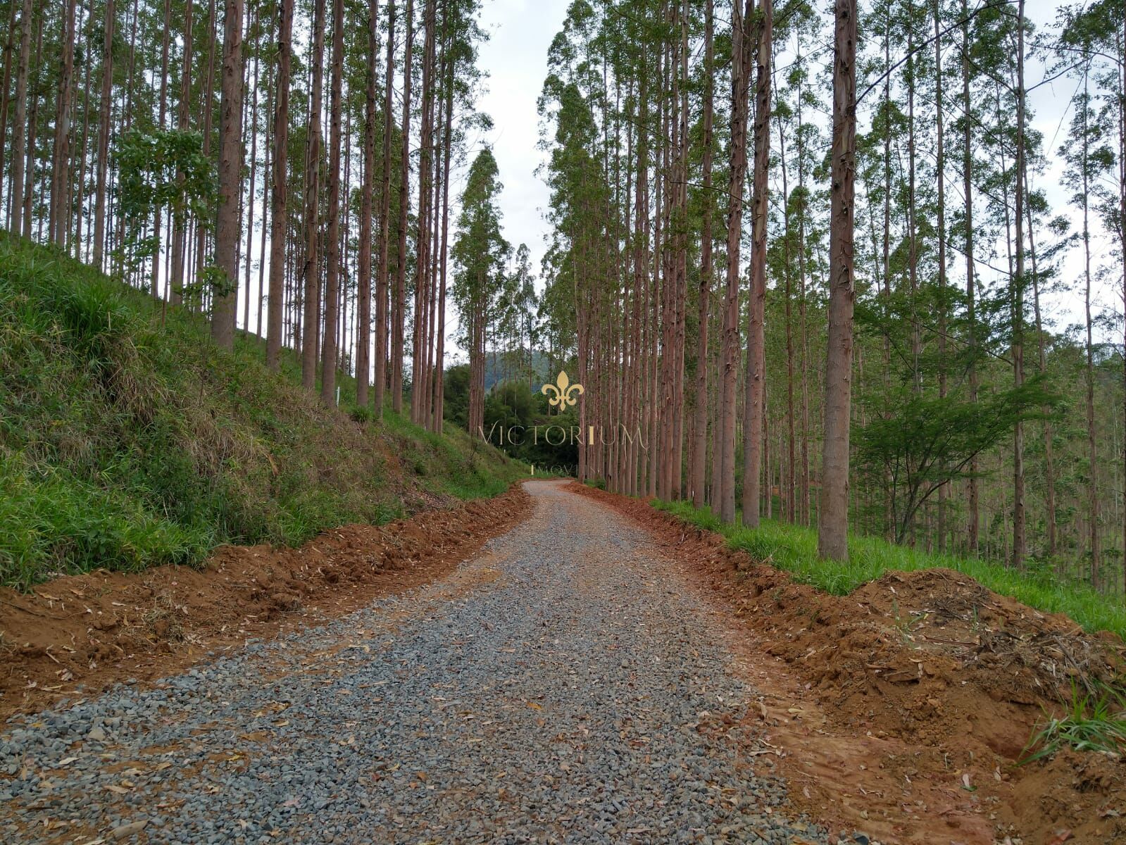 Fazenda à venda, 20000m² - Foto 9