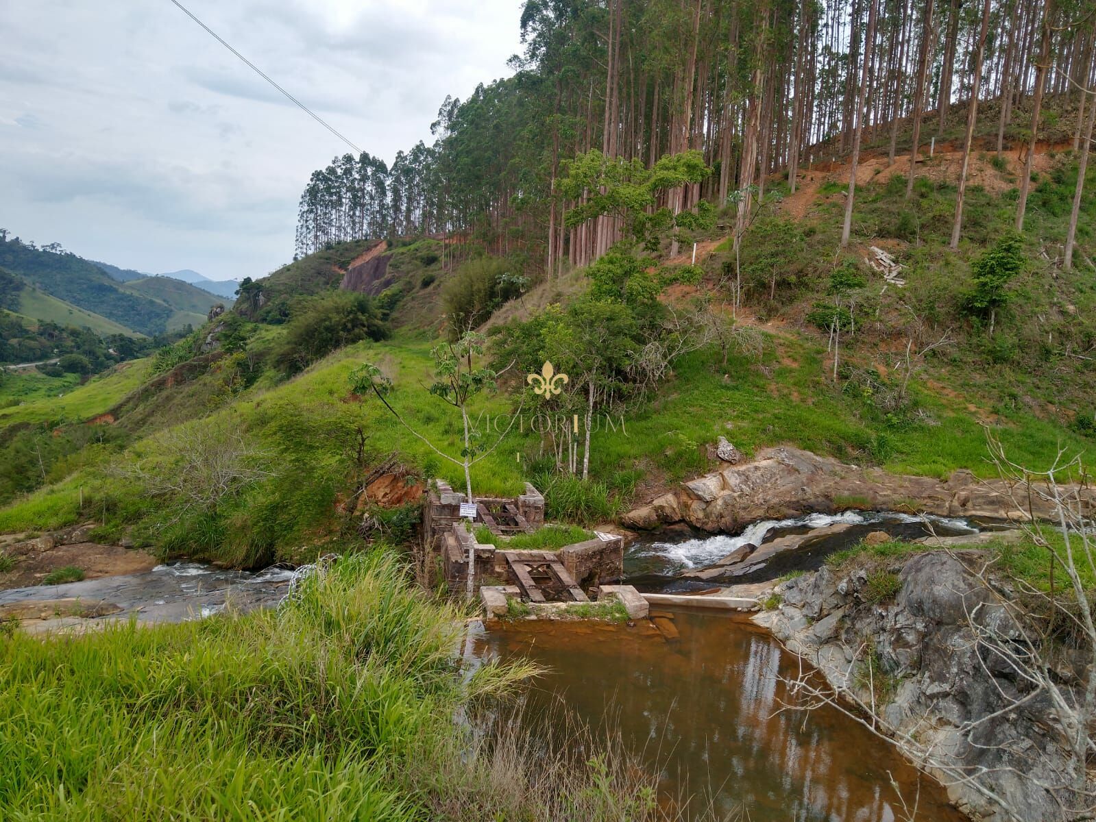 Fazenda à venda, 20000m² - Foto 10