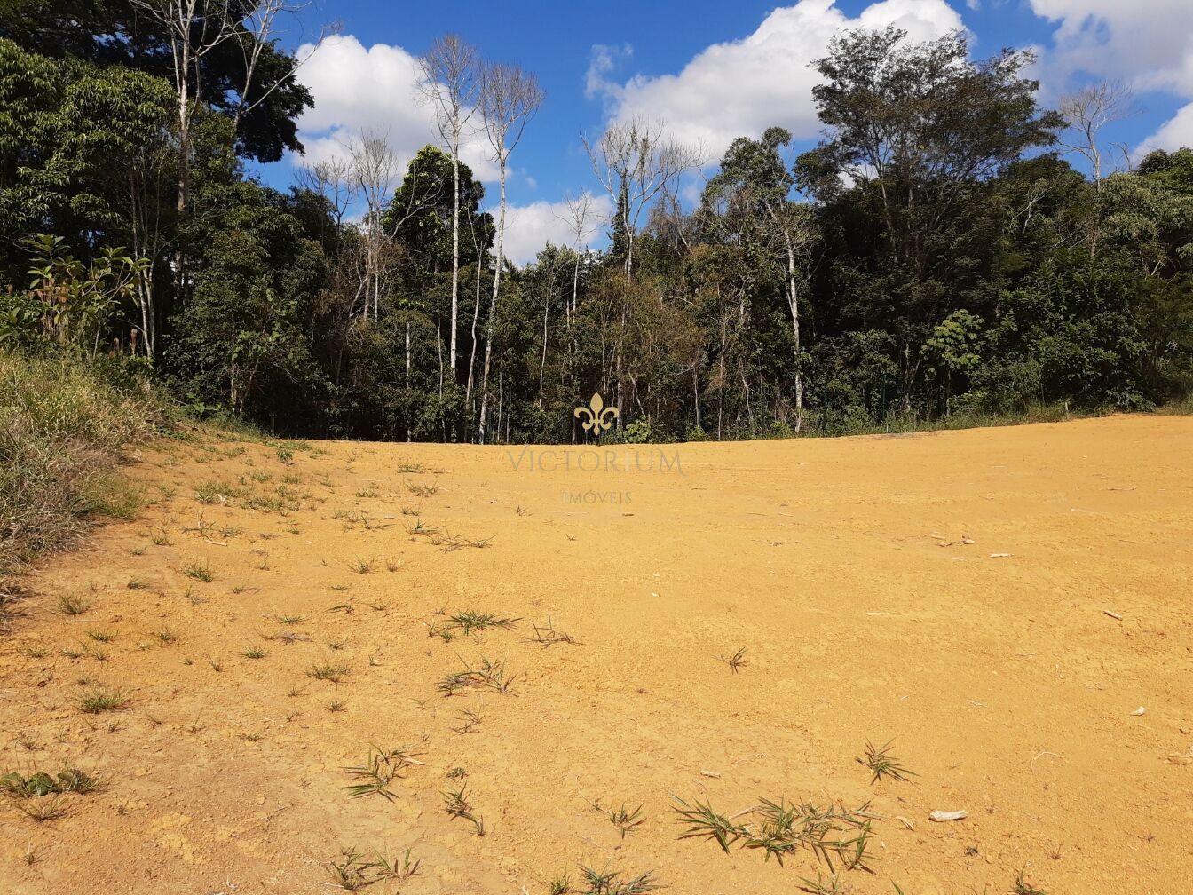 Terreno à venda, 1100m² - Foto 4