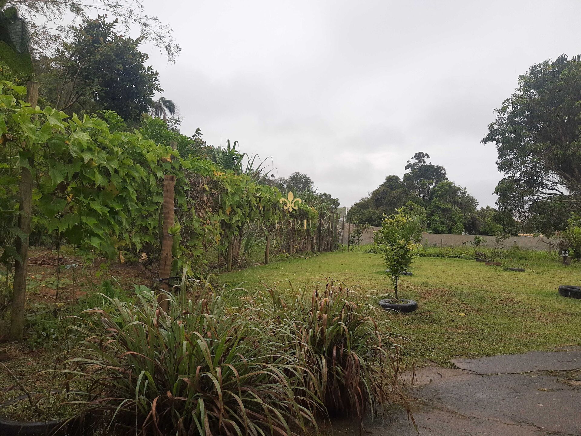 Fazenda à venda, 5000m² - Foto 16