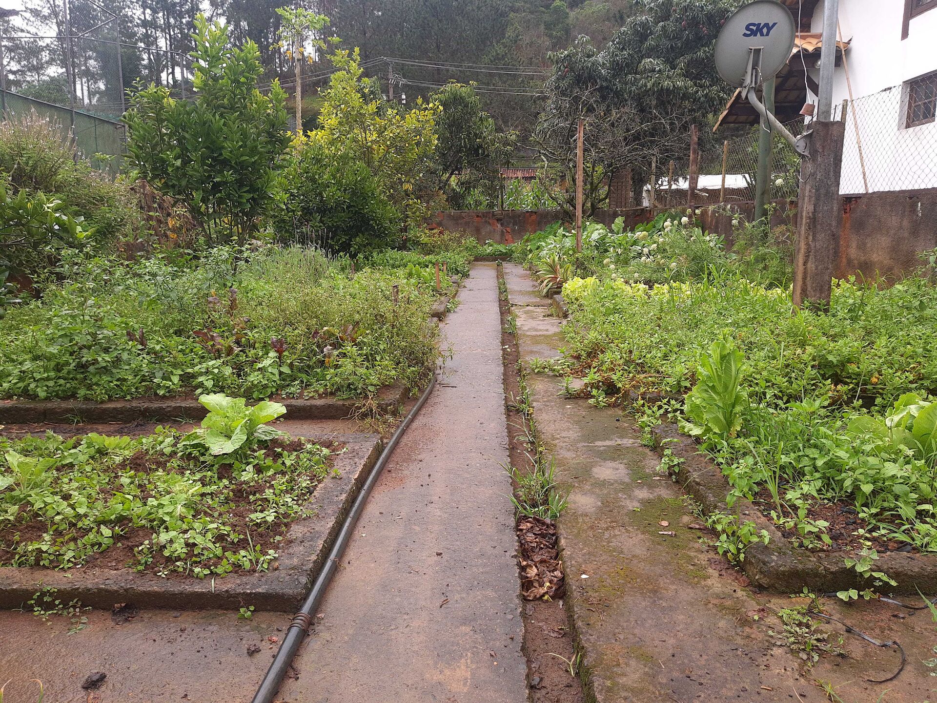 Fazenda à venda, 5000m² - Foto 26