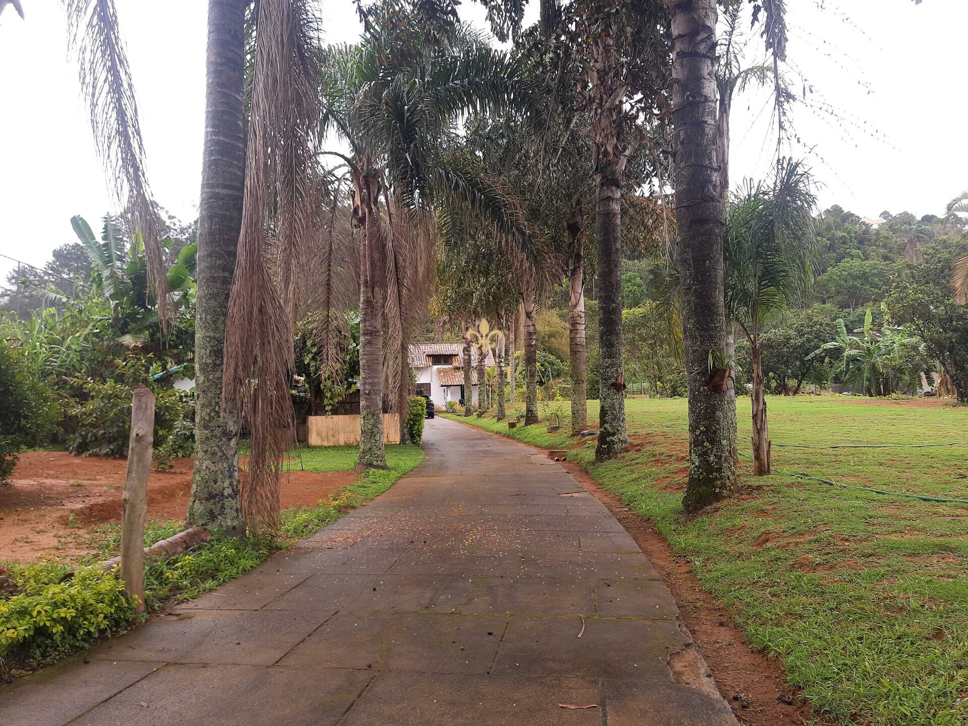 Fazenda à venda, 5000m² - Foto 5