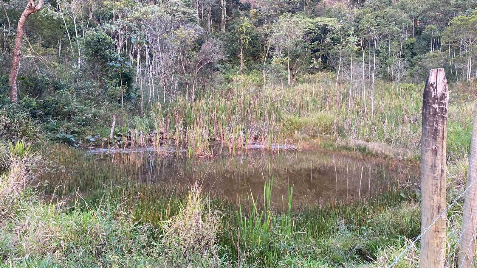 Fazenda à venda, 30000m² - Foto 4