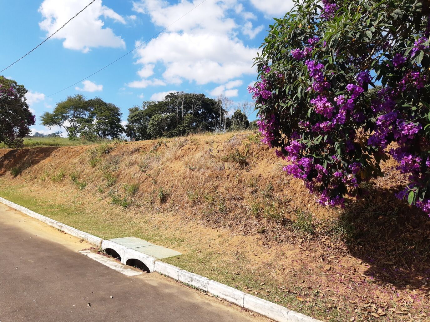 Terreno à venda, 1140m² - Foto 5