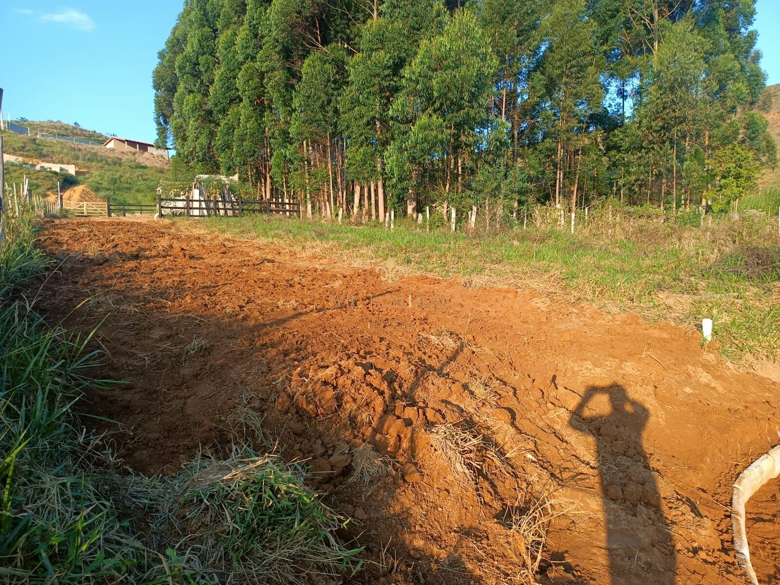 Terreno à venda - Foto 4