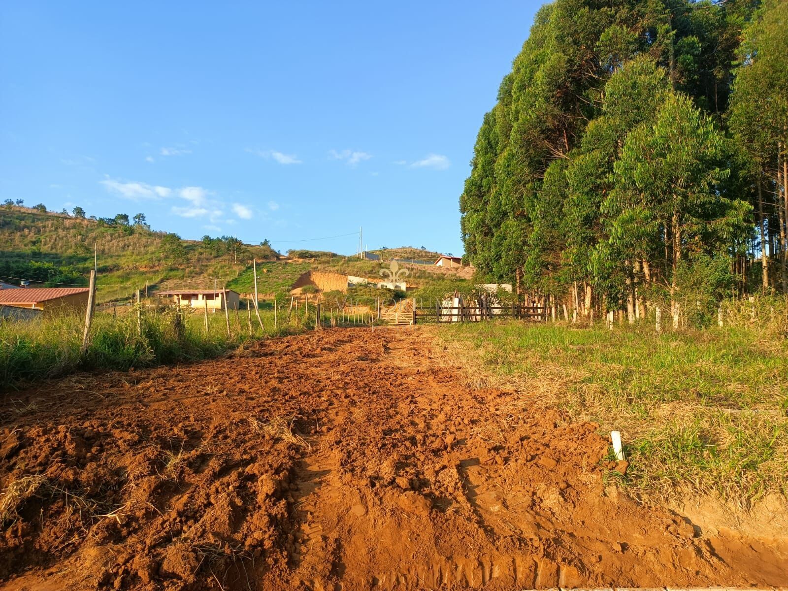 Terreno à venda - Foto 3