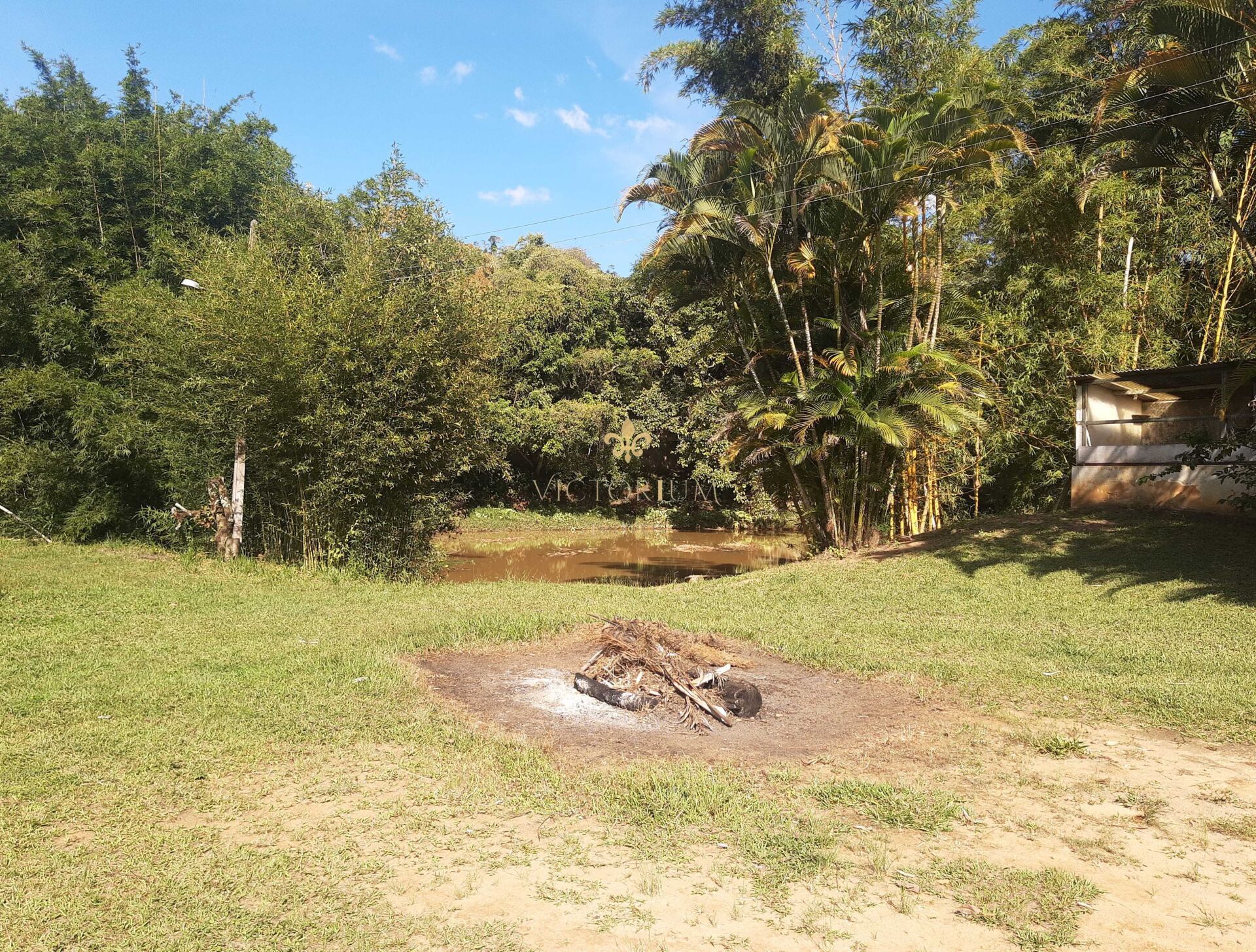 Fazenda à venda com 3 quartos, 27000m² - Foto 13