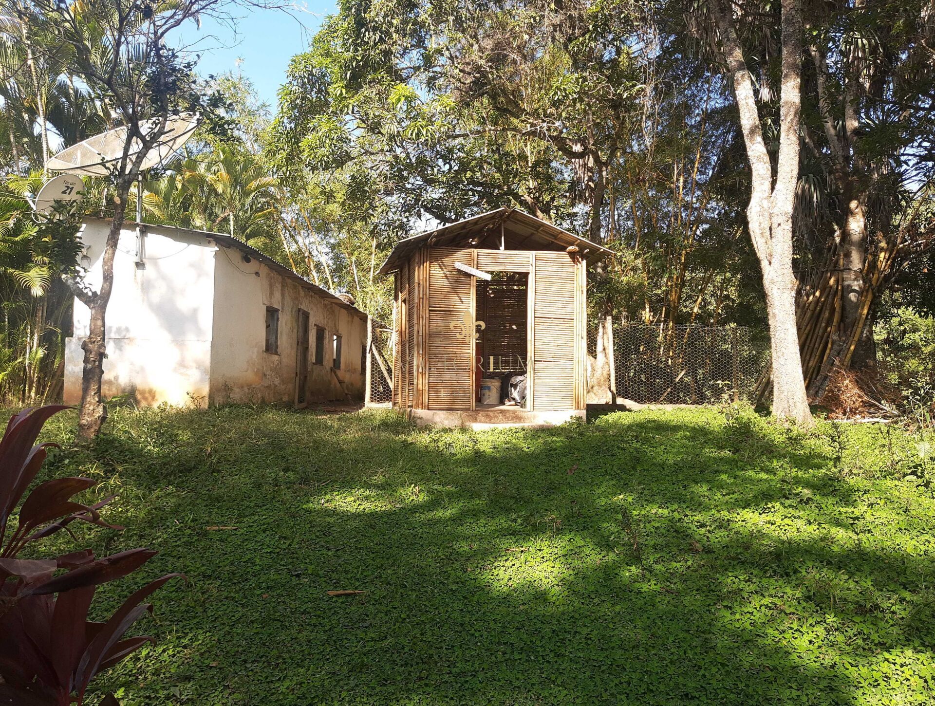 Fazenda à venda com 3 quartos, 27000m² - Foto 10