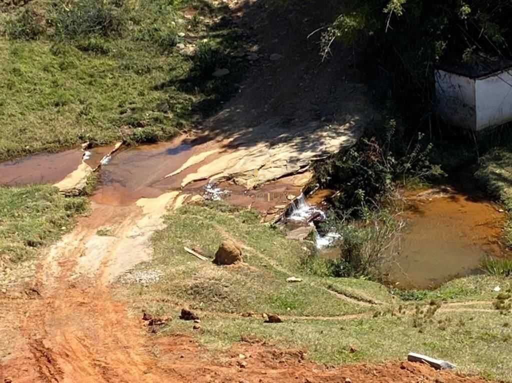 Fazenda à venda com 5 quartos, 40000m² - Foto 6