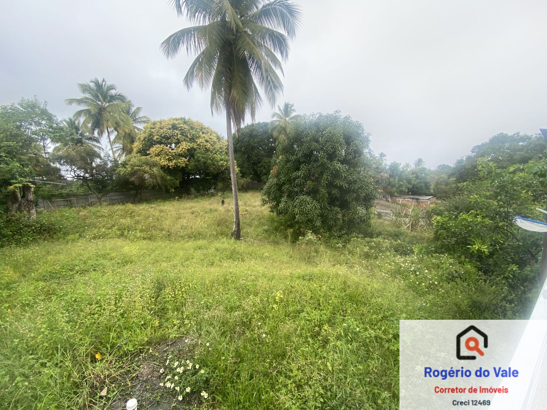 Fazenda à venda com 6 quartos, 6000m² - Foto 6