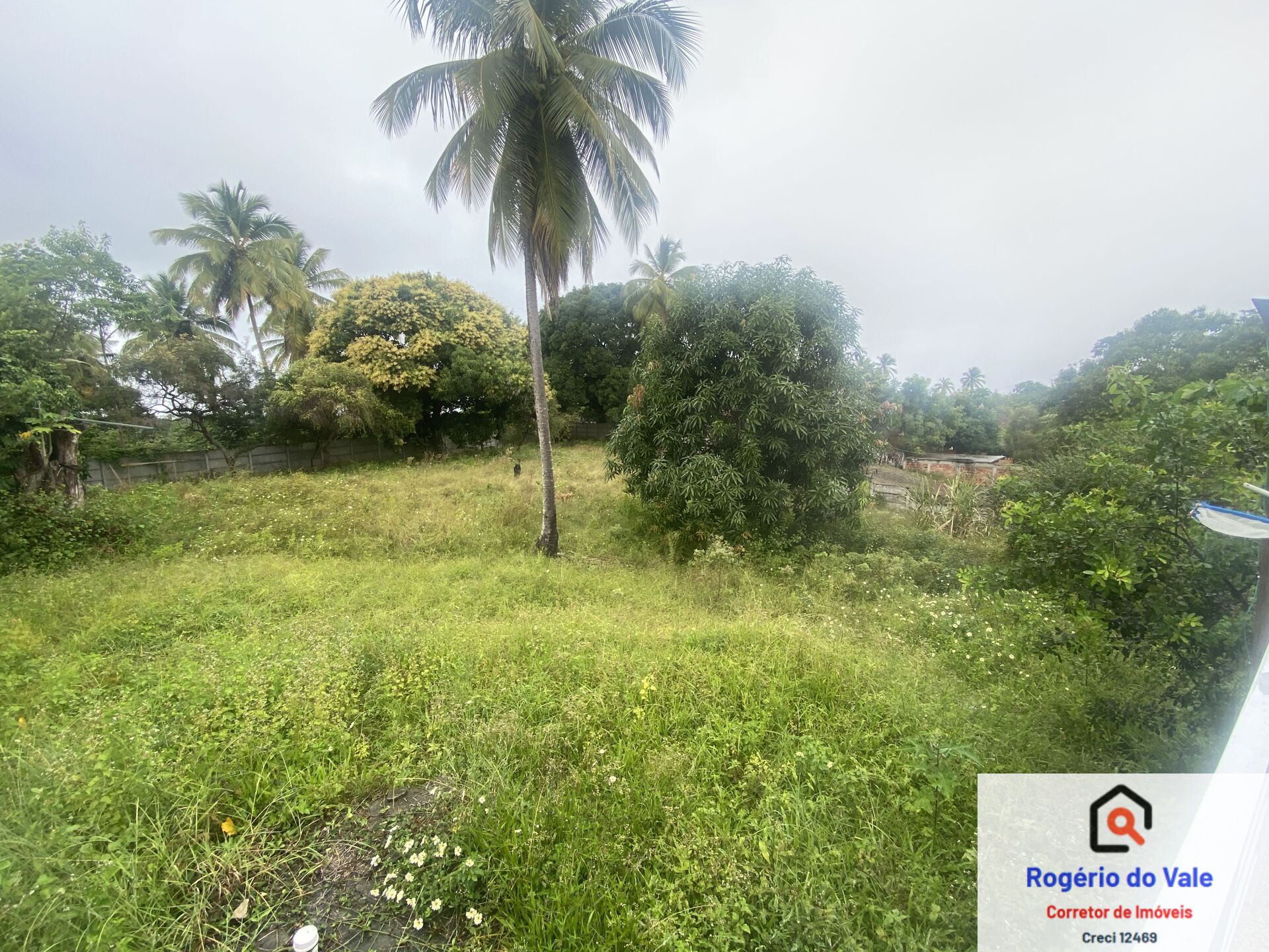 Fazenda à venda com 6 quartos, 6000m² - Foto 6