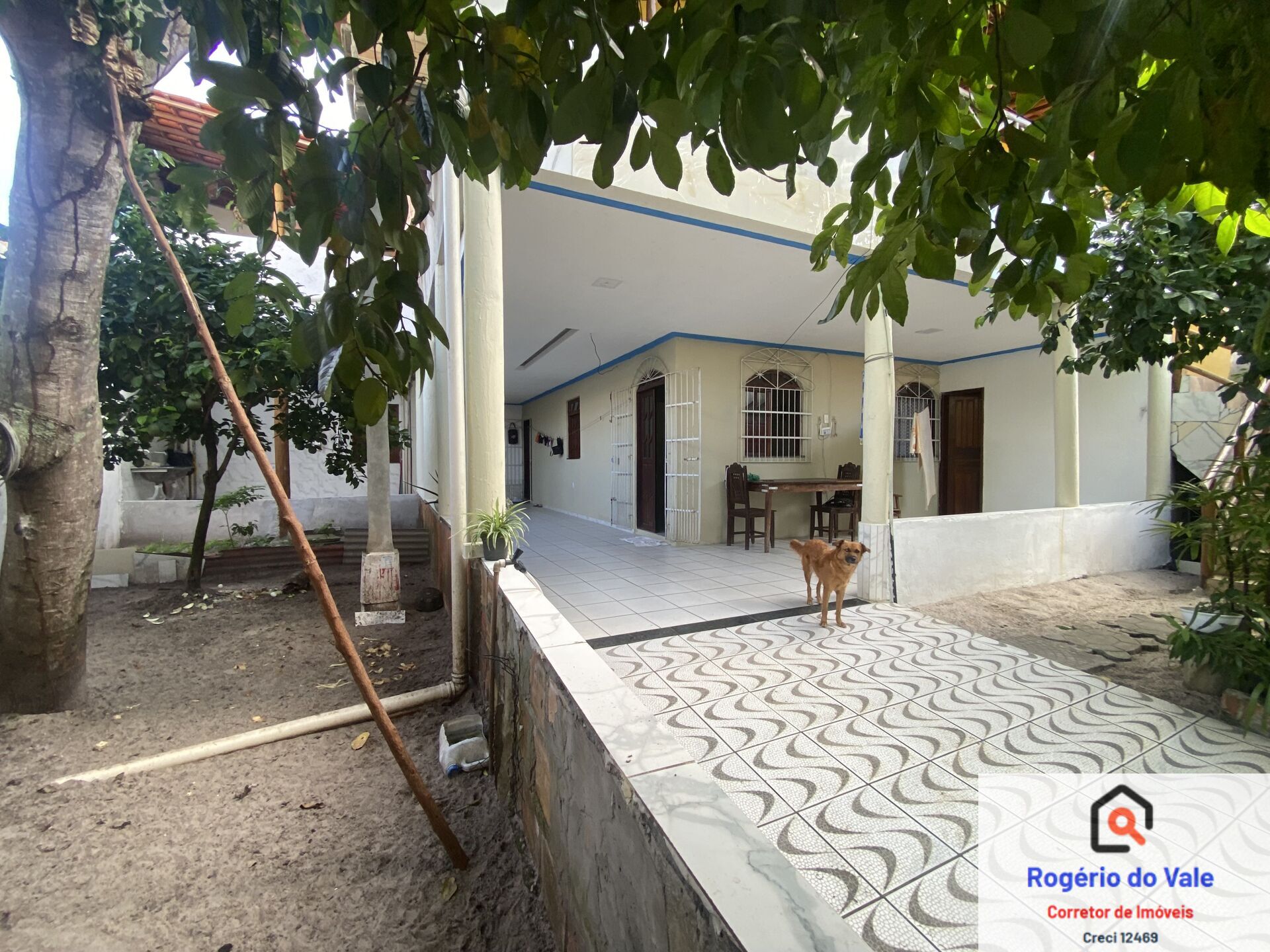 Casa à venda com 6 quartos, 170m² - Foto 8