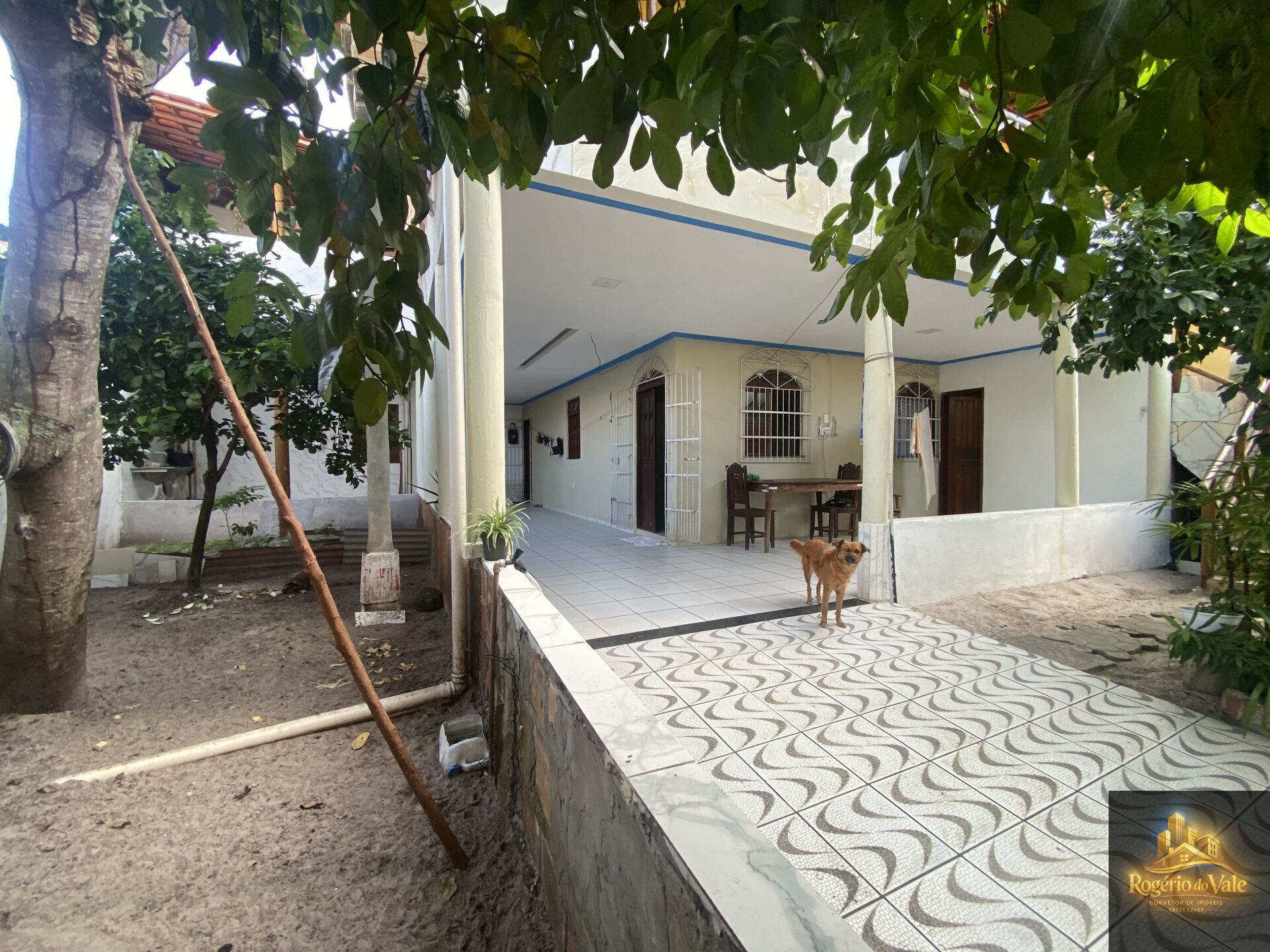 Casa, 6 quartos, 170 m² - Foto 9