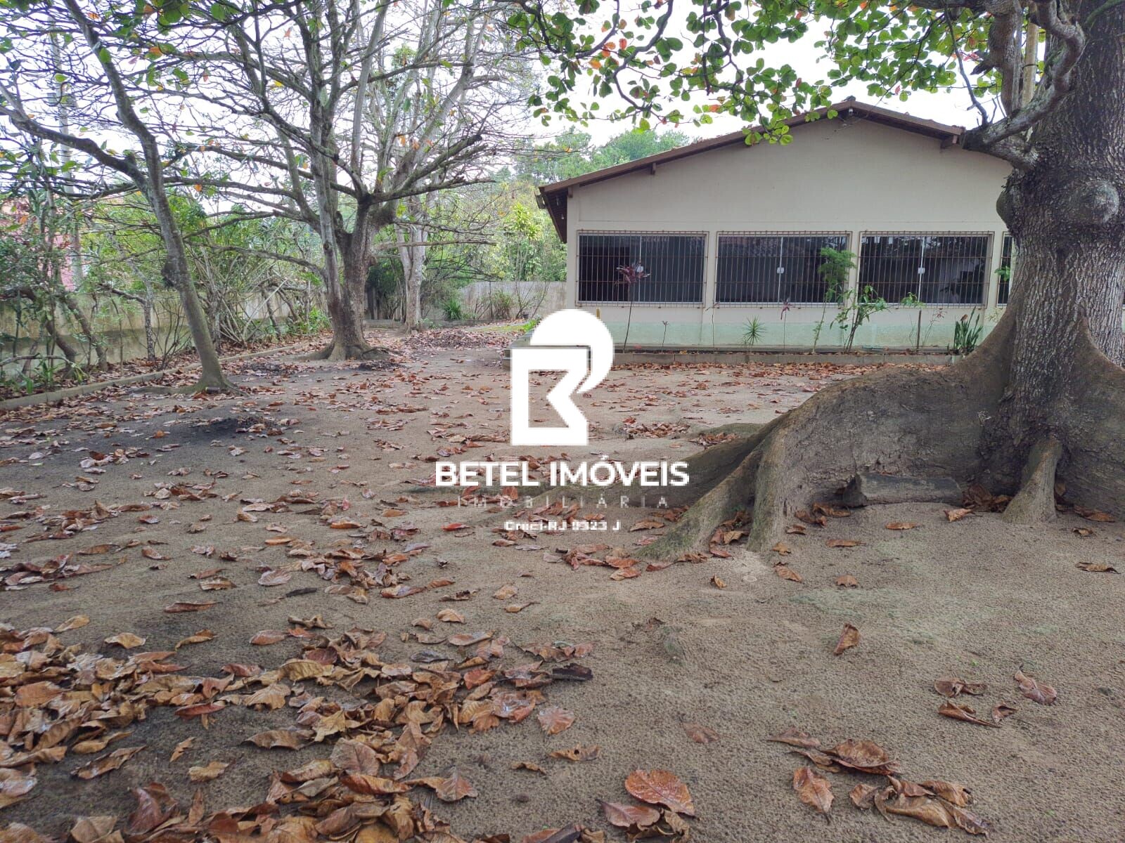 Fazenda à venda com 8 quartos, 1050m² - Foto 13