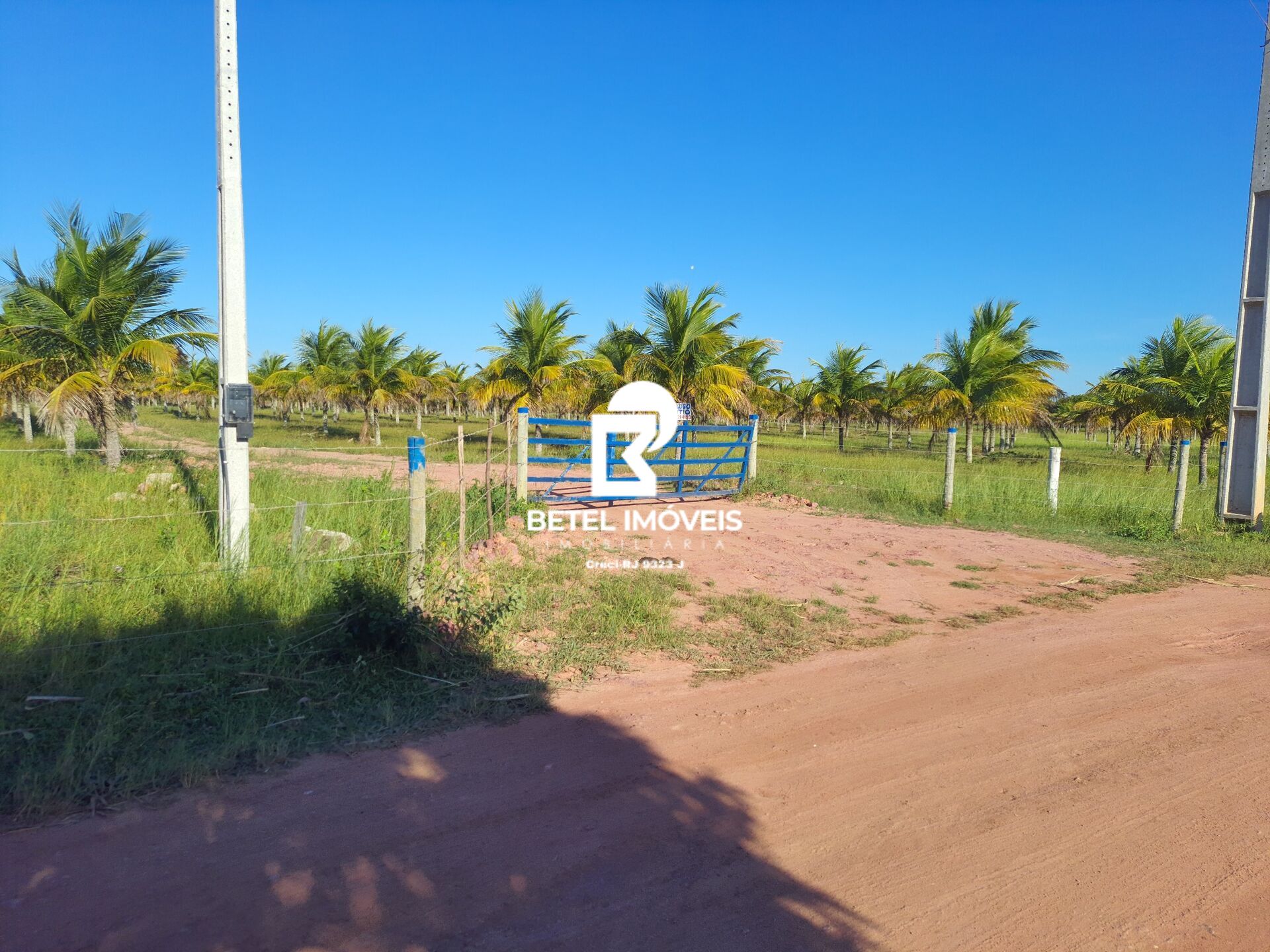 Fazenda à venda, 18m² - Foto 5