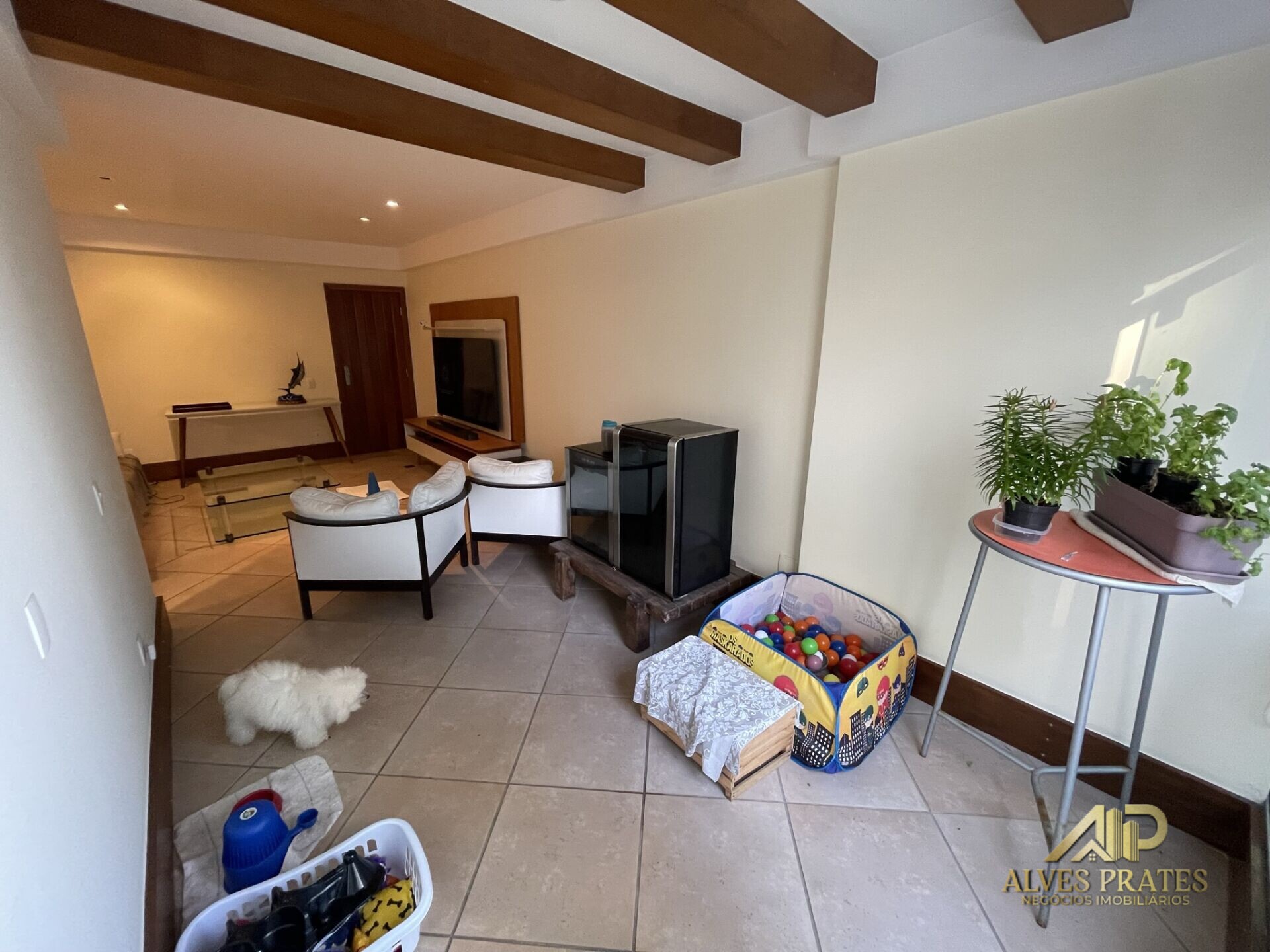 Apartamento à venda com 3 quartos, 165m² - Foto 11