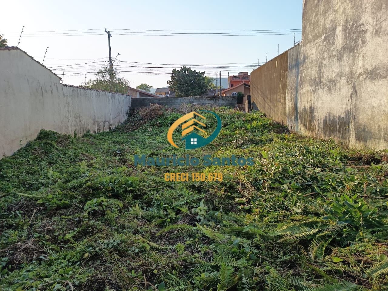 Terreno, 250 m² - Foto 6