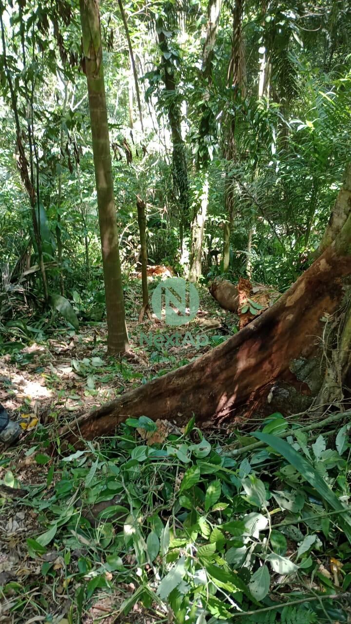 Terreno à venda - Foto 3